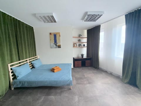 Seliu 29 Apartment in Vilnius