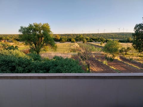 Natural landscape, Garden view