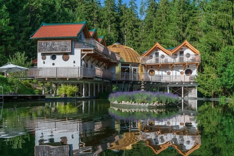 Property building, Natural landscape, Lake view