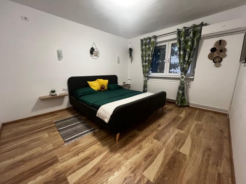 Miha Residence Apartment in Timiș County