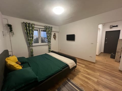 Miha Residence Apartment in Timiș County