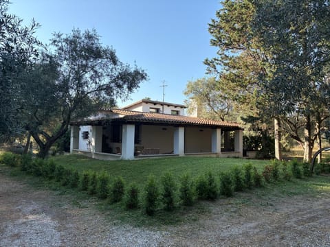 Property building, Day, Garden
