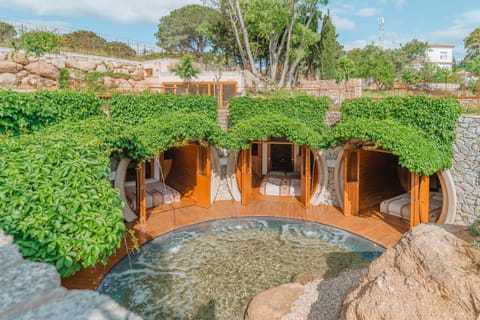 Natural landscape, Garden, Decorative detail