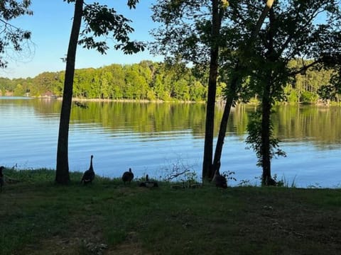 Day, Natural landscape, Lake view, River view