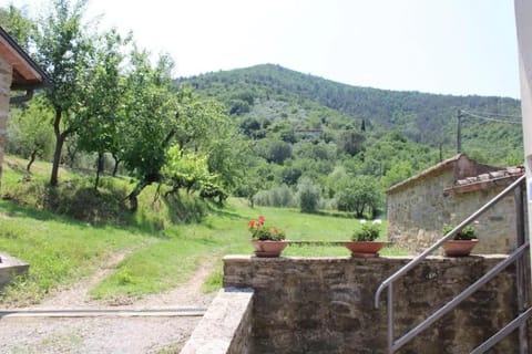 Natural landscape, Garden, Garden view, Mountain view