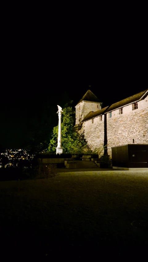 Cruise durch das Herz der Altstadt Apartment in Canton of Zurich