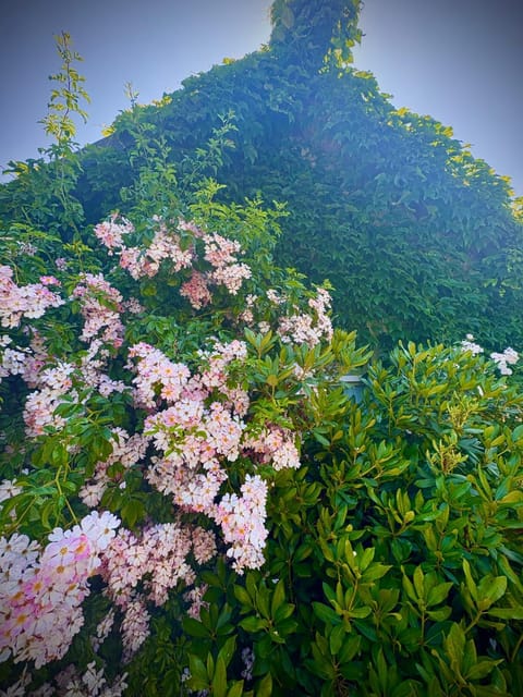 Gîte et Roulotte dans les Vosges House in Vosges