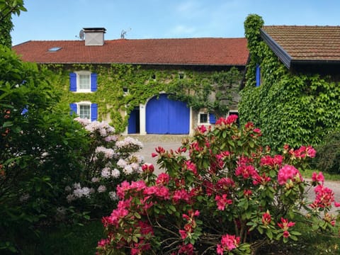 Property building, Garden view