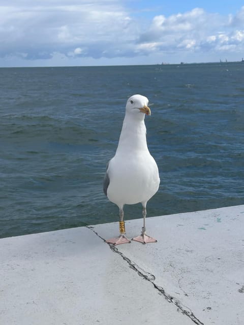 Willa Anna Vacation rental in West Pomeranian Voivodeship, Poland