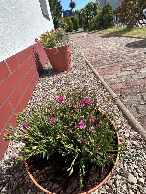 Willa Anna Vacation rental in West Pomeranian Voivodeship, Poland