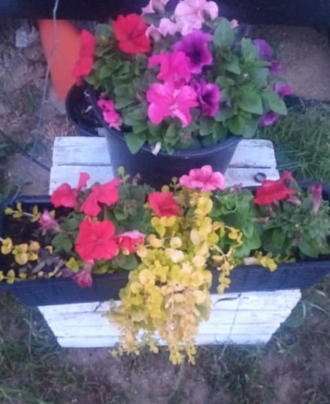 ogrodzone miejsce na kamper, przyczepę kempingową, postój Wohnwagen Rewal Campground/
RV Resort in West Pomeranian Voivodeship, Poland