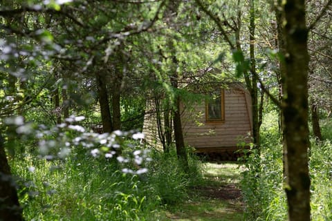 Cwtch Woodland Camp Campground/
RV Resort in Wales