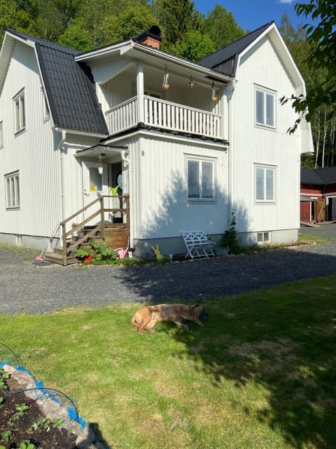 Property building, Day, Garden