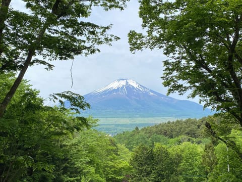 Spring, Mountain view