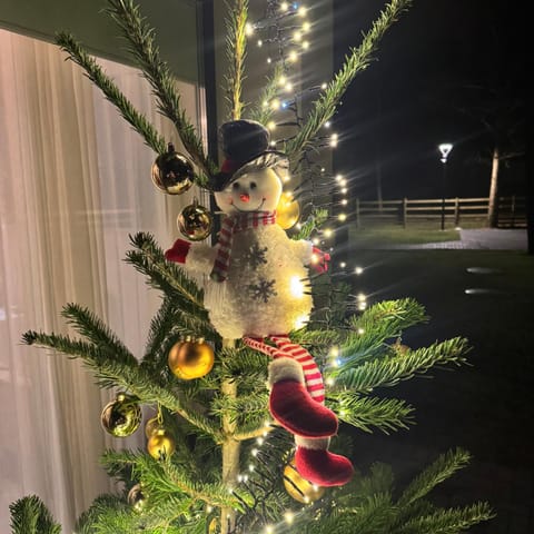 Tago Forest - Dune Apartments Apartment in Klaipėda County, Lithuania