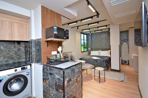 TV and multimedia, Living room, Seating area, stove, washing machine