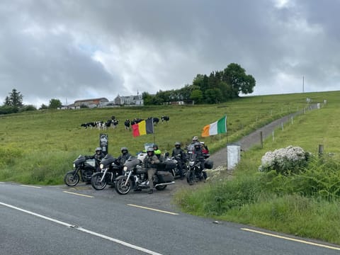 Activities, Activities, group of guests