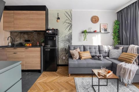 Kitchen or kitchenette, Living room, Seating area