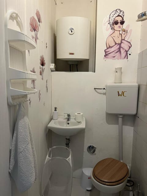 Rifugio con cortile Apartment in Piacenza