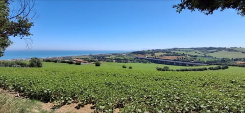 Spring, Natural landscape, City view, City view, Sea view, Sea view, Street view, Street view, Quiet street view