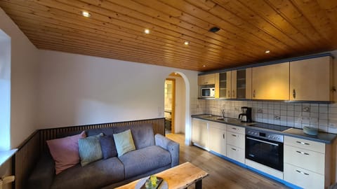 Kitchen or kitchenette, Seating area, Dining area, stove, toaster