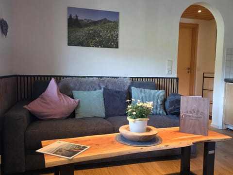 Living room, kitchen