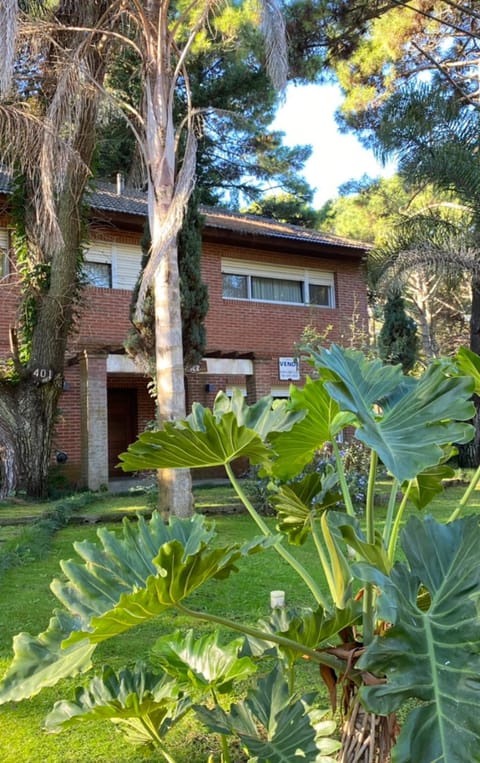 Natural landscape, Garden, Garden view