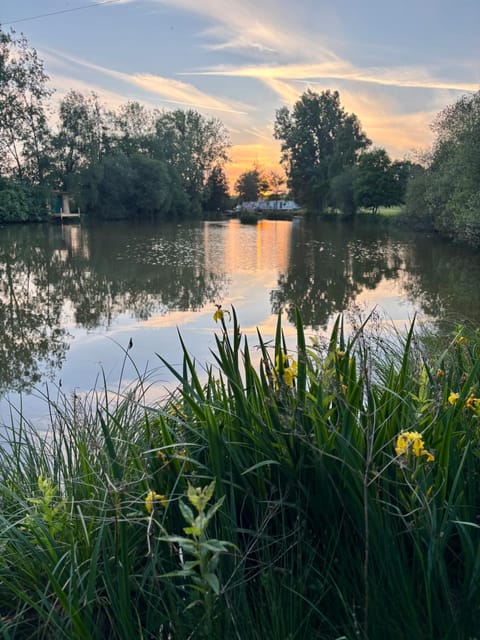 Natural landscape, Lake view, Sunrise
