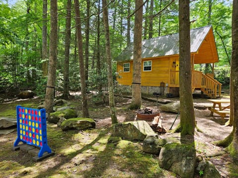 Smoky Mountain Retreat - 2 Cabins Cabin in Cosby