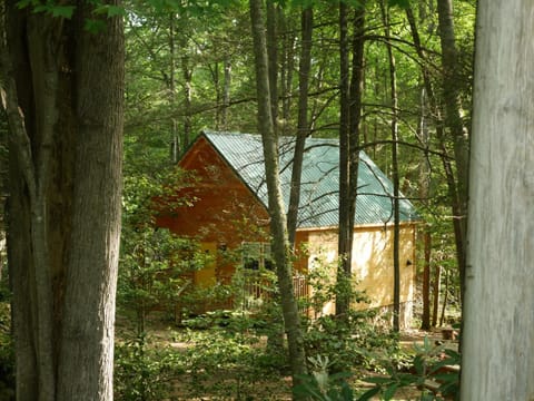 Smoky Mountain Retreat - 2 Cabins Cabin in Cosby