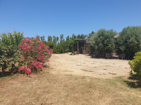 Property building, Spring, Day, Natural landscape, Garden, Garden view, Inner courtyard view, Parking