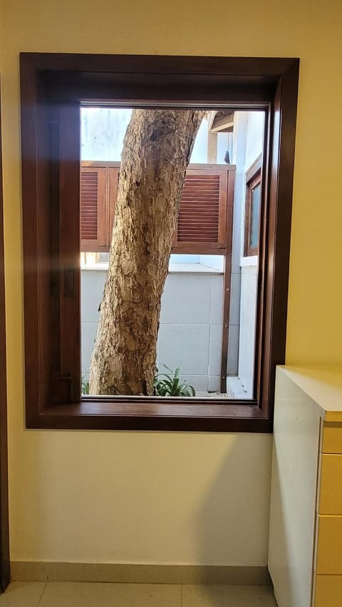 Turtle house 1 House in Armacao dos Buzios