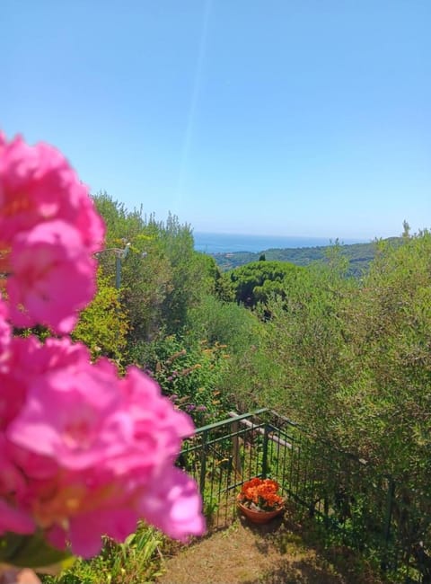 Natural landscape, Garden view, Sea view