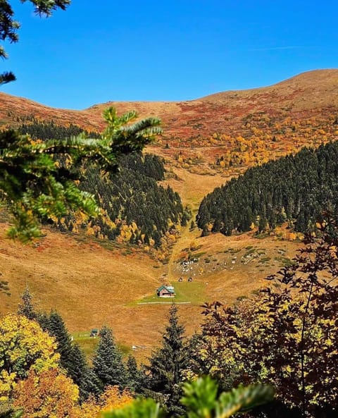 Hacijenda Bogavac, Dolovi Lalevica Chalet in Montenegro