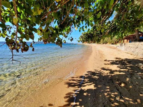 Nearby landmark, Beach