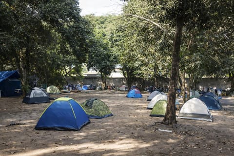 Spring, Natural landscape, Garden, Garden view