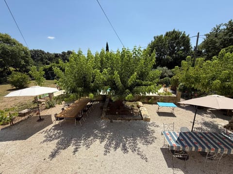 Garden, Garden, Garden view