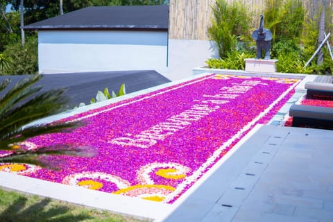 Garden, Garden view, Pool view, Swimming pool