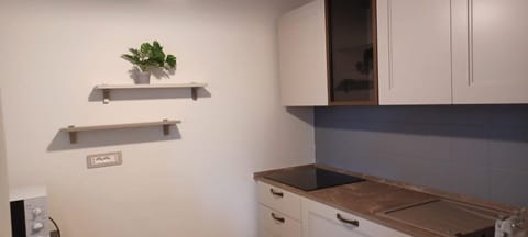 Kitchen or kitchenette, kitchen