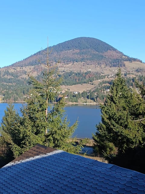 Lake view