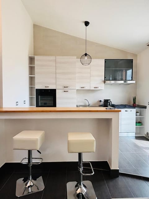 Kitchen or kitchenette, Dining area, oven, stove