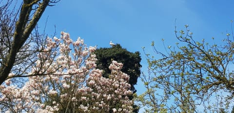 Fewos Storchenhof am Kummerower See Apartment in Mecklenburgische Seenplatte