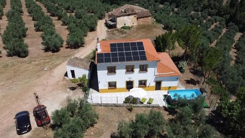 Property building, Bird's eye view