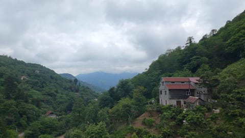 Property building, Natural landscape
