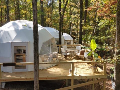 Property building, Day, Natural landscape