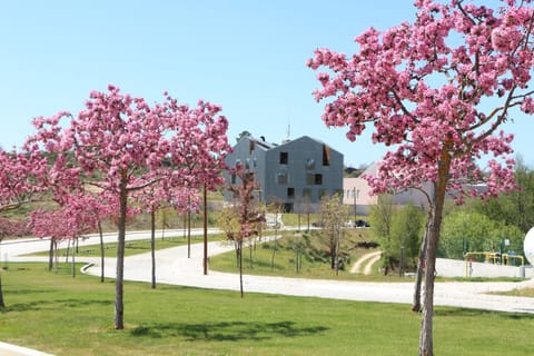 Facade/entrance, Garden view