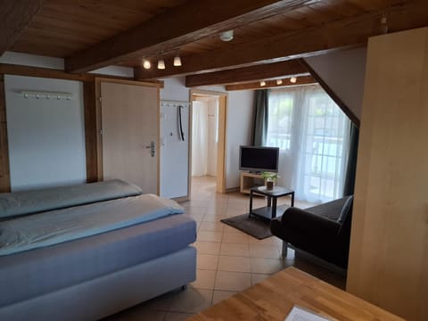 Bed, TV and multimedia, Living room, Photo of the whole room, Seating area, Bedroom