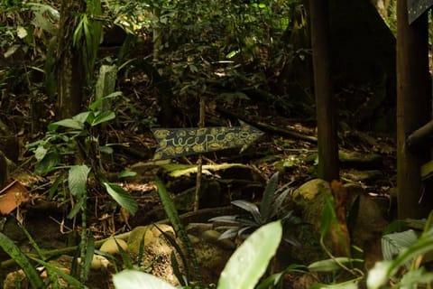 Garden, Lobby or reception, Decorative detail