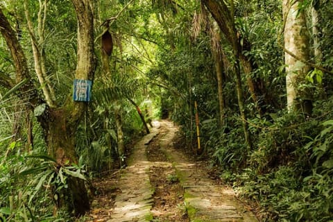 Facade/entrance, Day, Garden