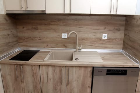 Kitchen or kitchenette, dishwasher, stove